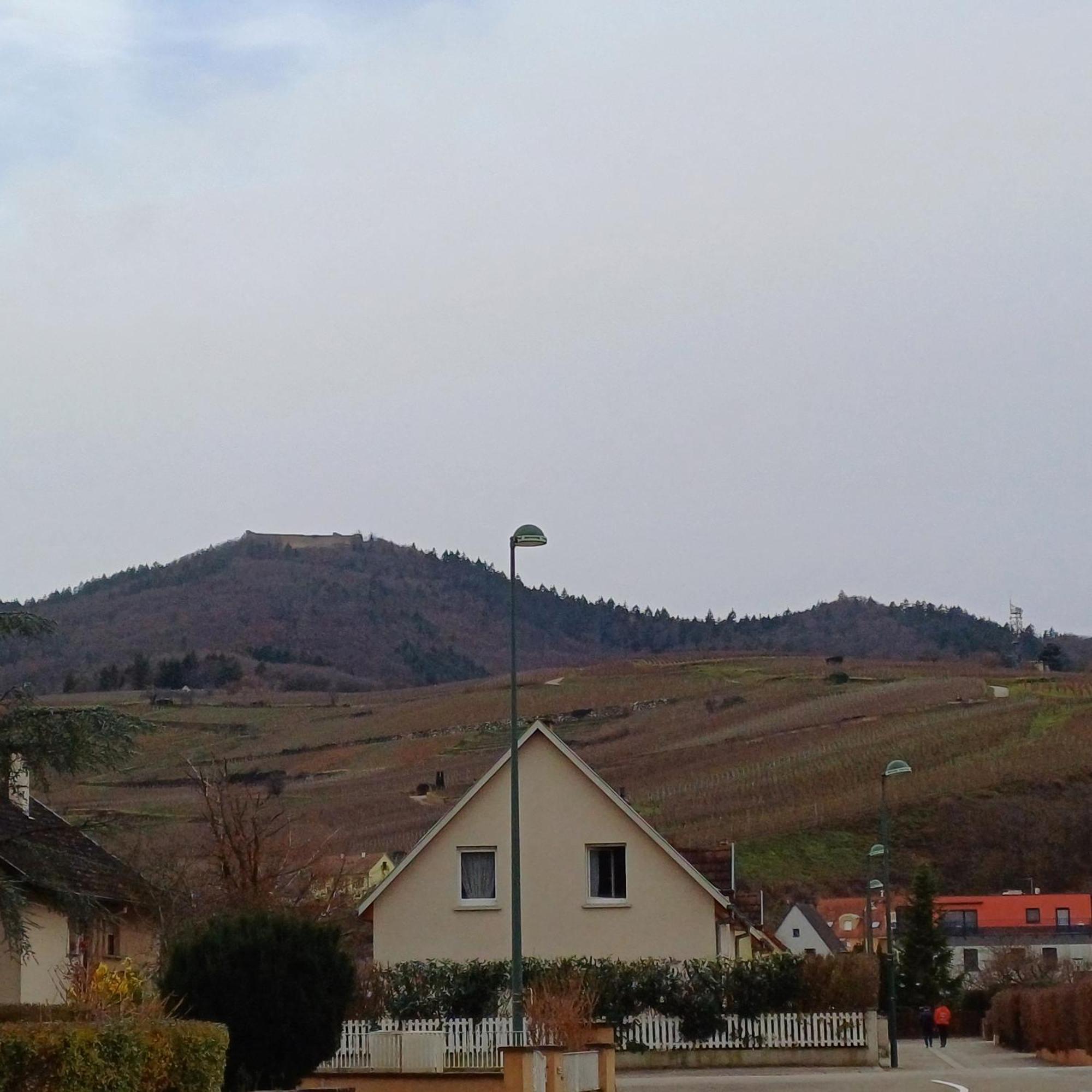 Hotel Les Vignobles D'Alsace à Wintzenheim Extérieur photo