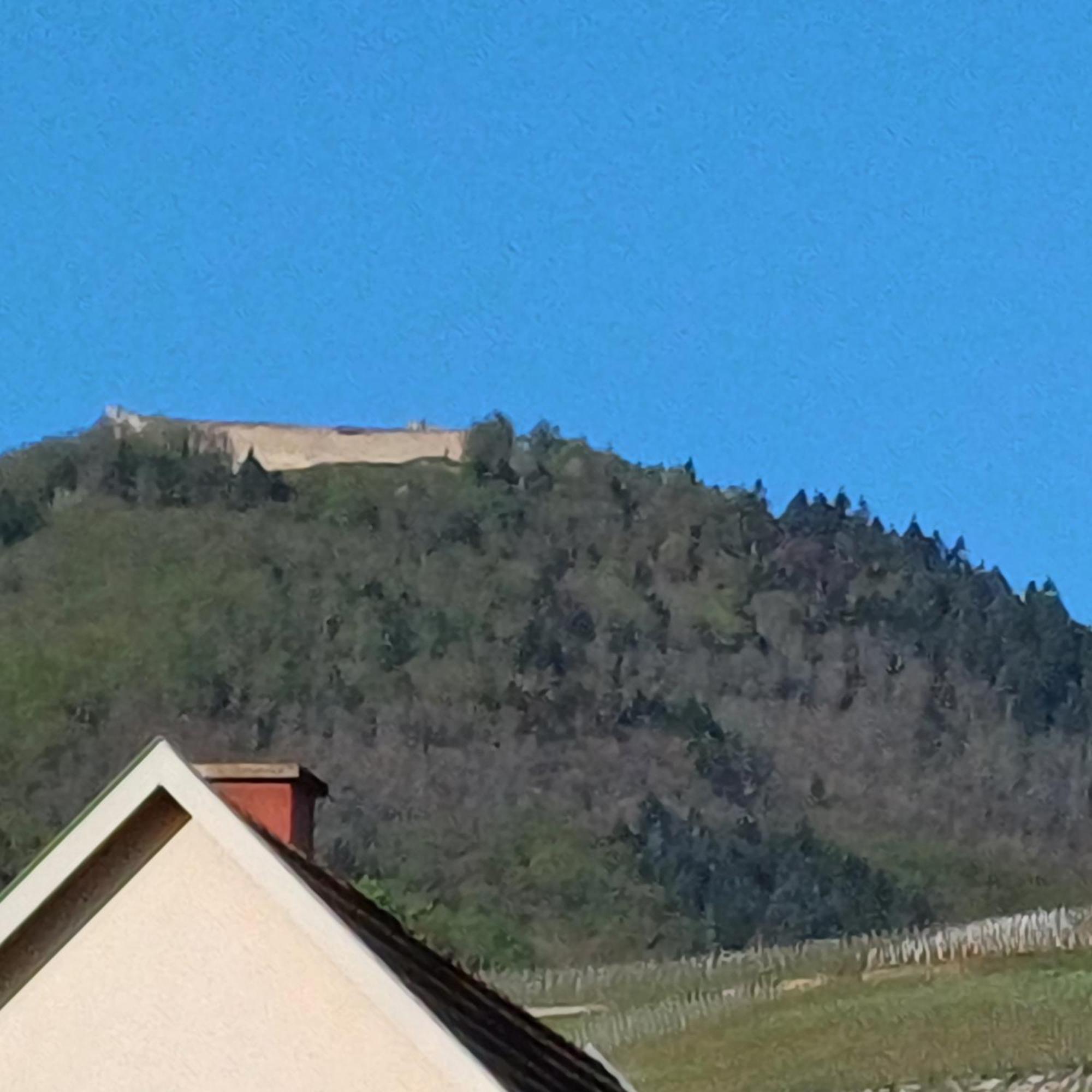 Hotel Les Vignobles D'Alsace à Wintzenheim Extérieur photo