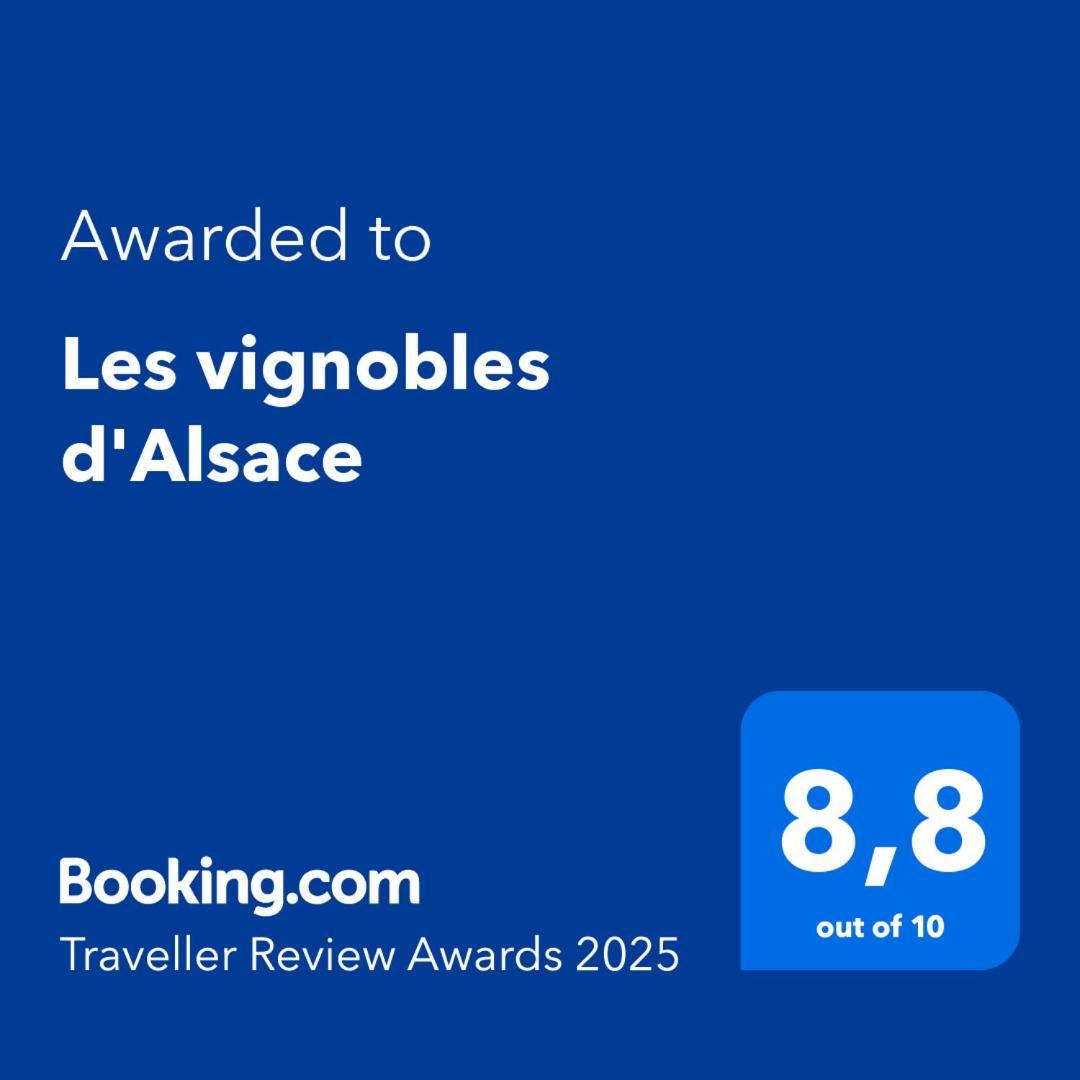 Hotel Les Vignobles D'Alsace à Wintzenheim Extérieur photo